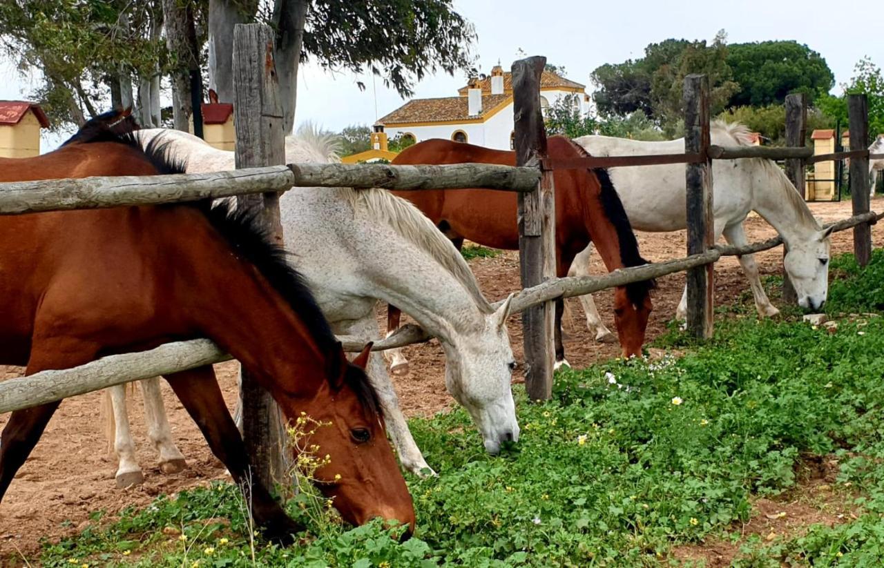 Posada Rural La Corbera Utrera Buitenkant foto